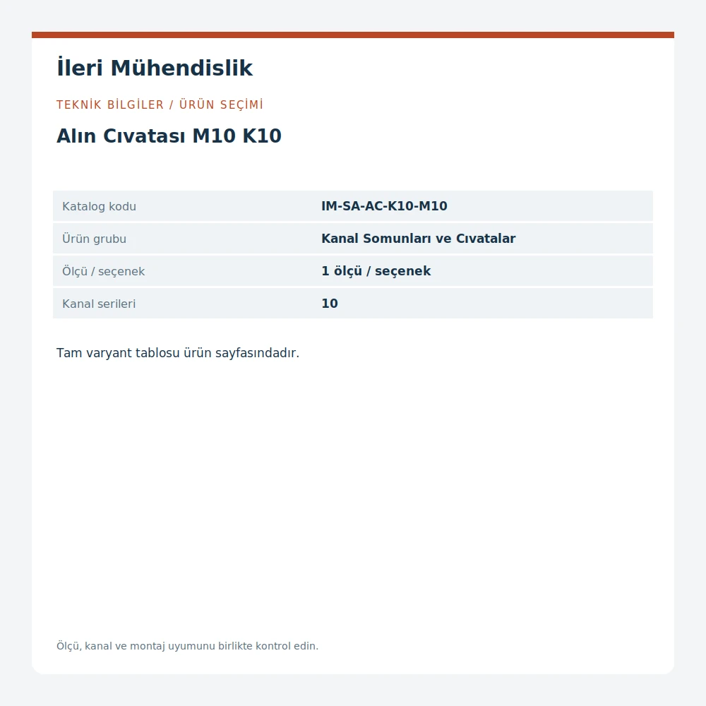 Alın Cıvatası M10 K10 · İleri Mühendislik